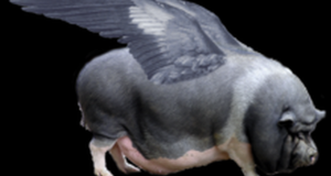 IDF Developing Flying Pigs To Better Destroy Palestinian Agriculture