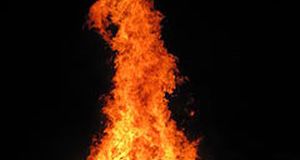 Rabbis: Avoid Gharqad Wood In Lag BaOmer Bonfires